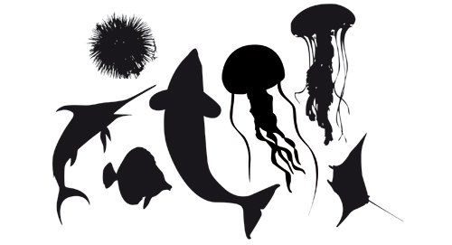 silhouettes of animals. The Sea Animal Silhouettes