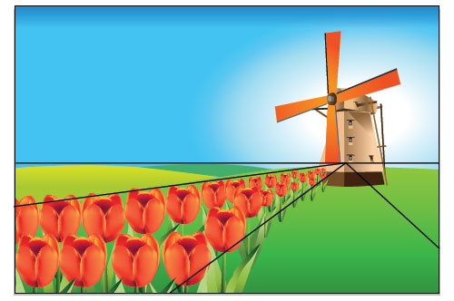holland tulip field