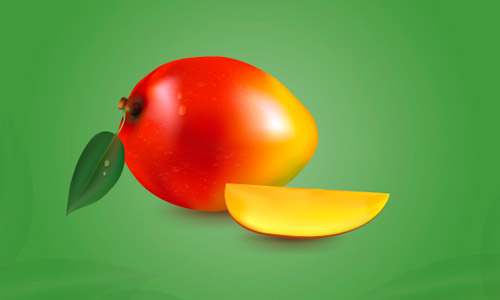 vector mango