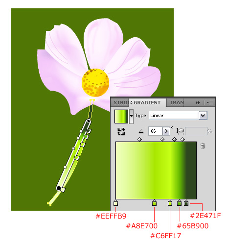 vector flower