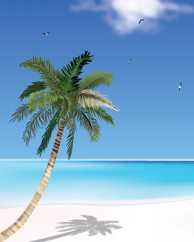 coconut-tree-and-the-beach