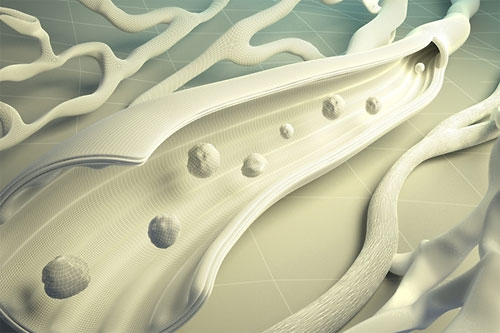 illustration of a medical topic