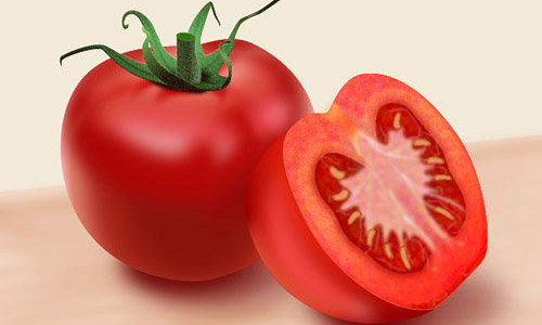 vector tomatoes