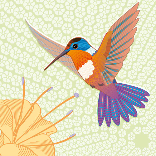 hummingbird-and-flower