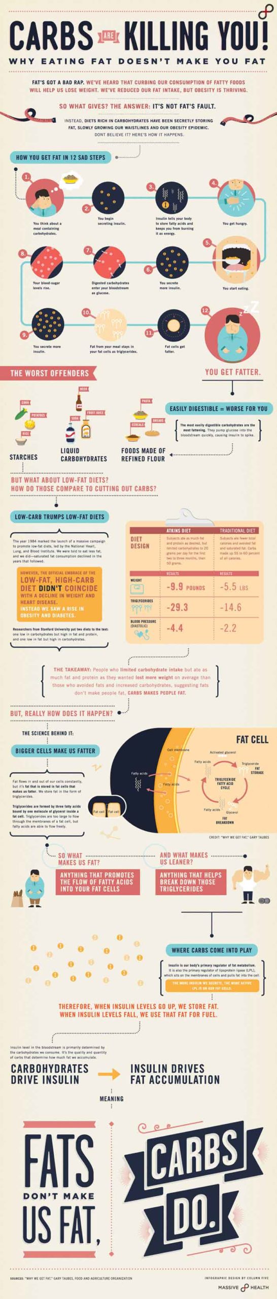 best infographic examples fig 17 carbs are killing you final
